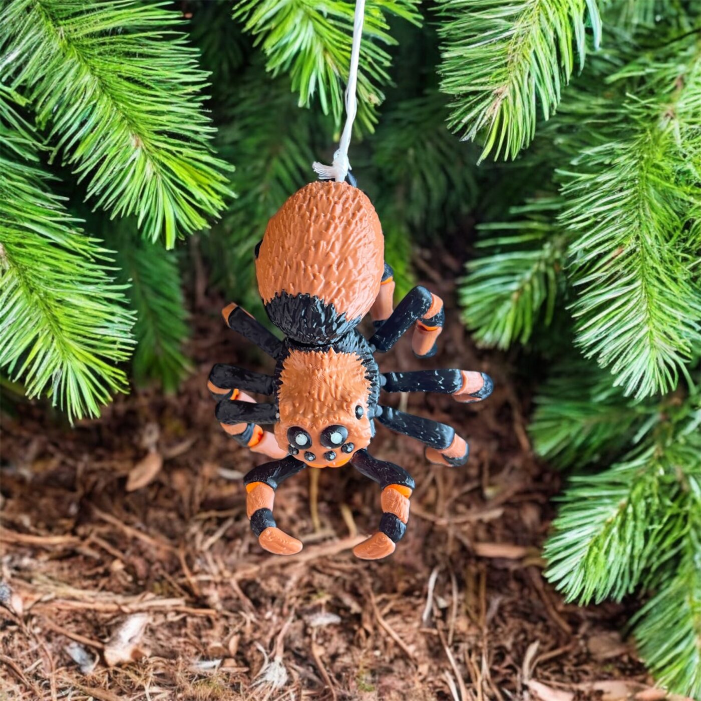 Tarantula Stella