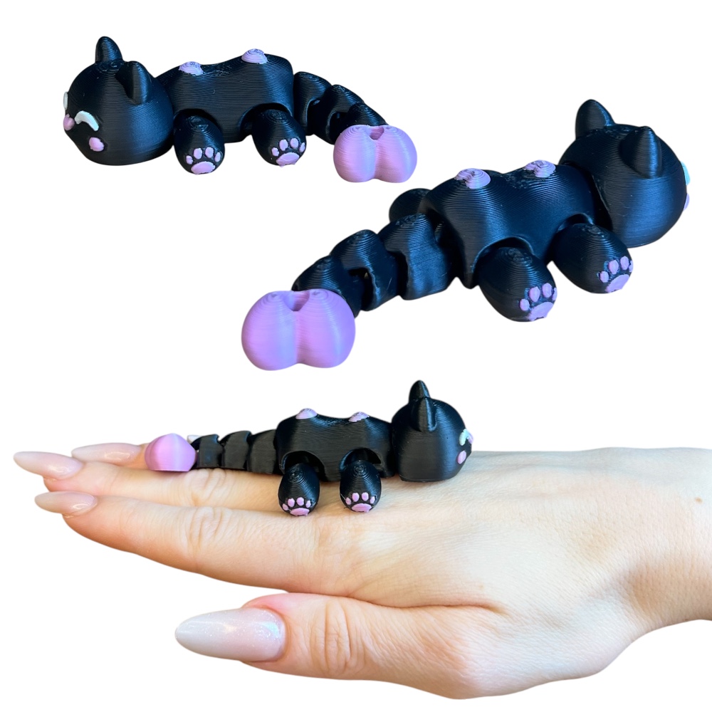 Photoroom_20260313_122801