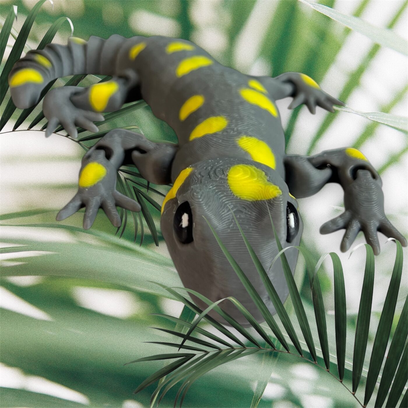 Salamandra Lizzie