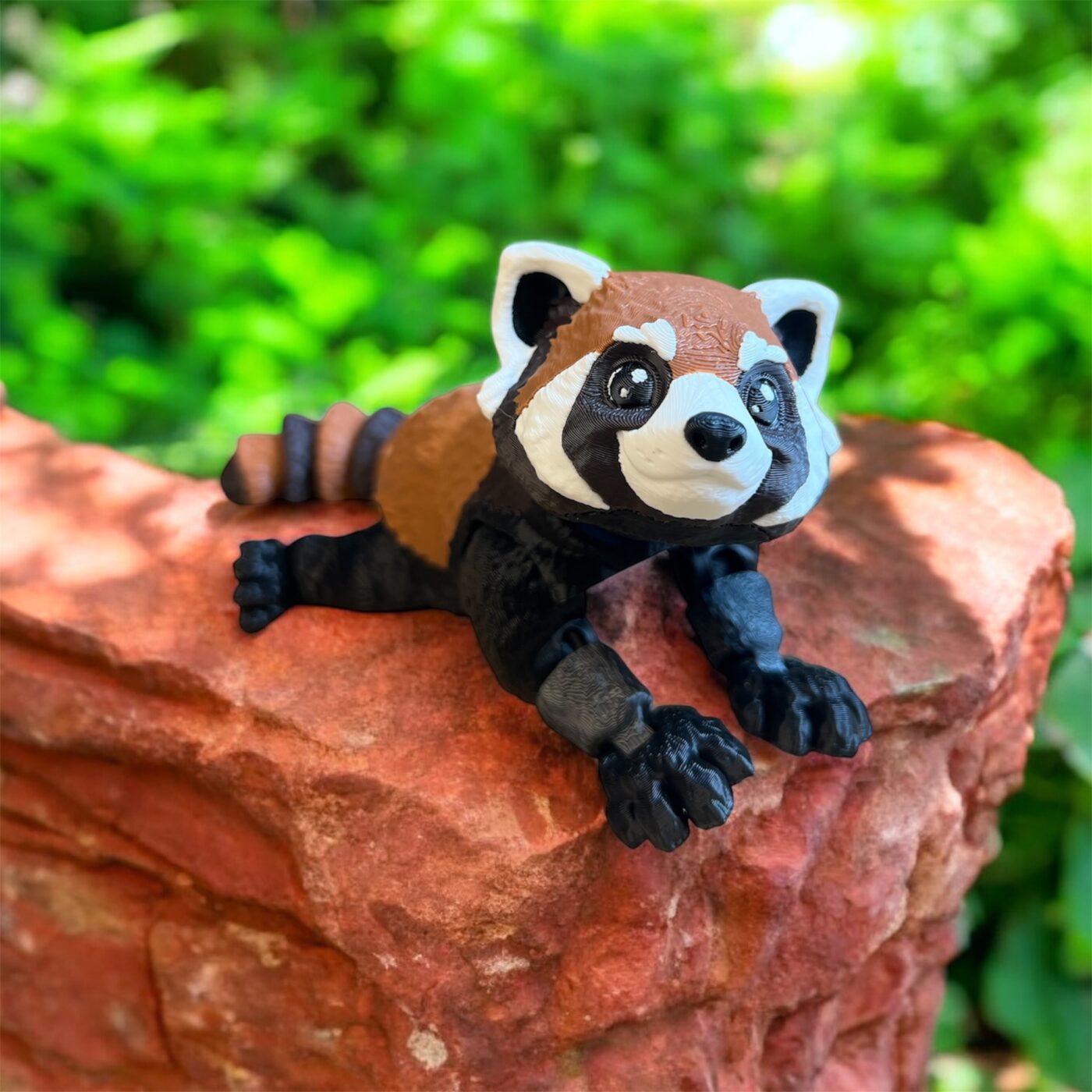Czerwona Panda Rubi