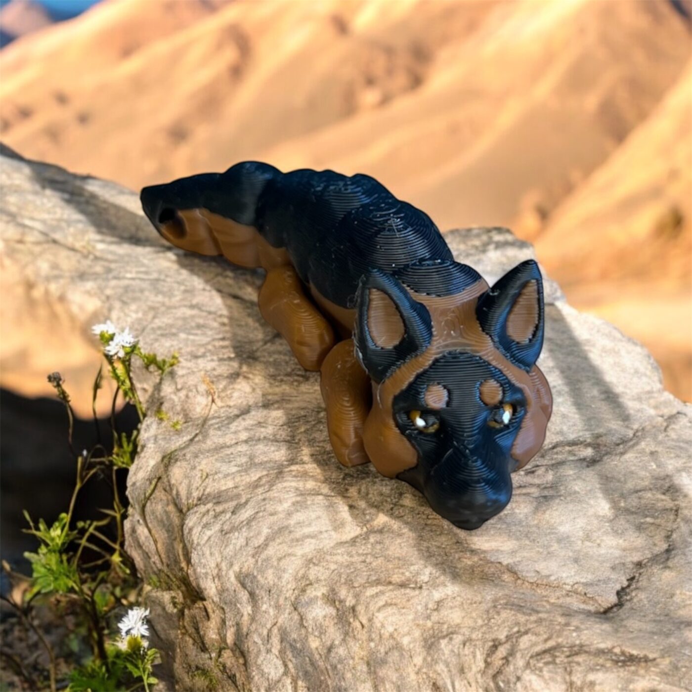 Owczarek Niemiecki Rocky