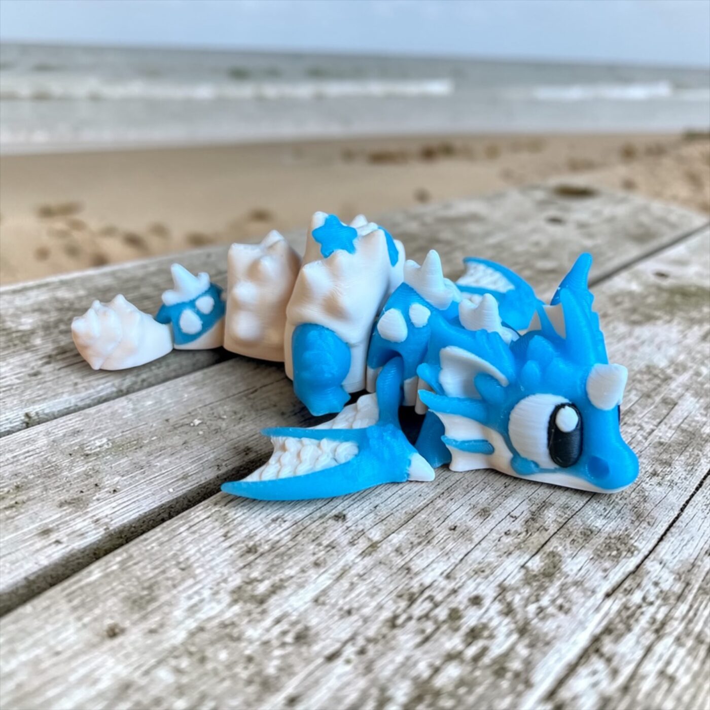 Smok morski Muszelka