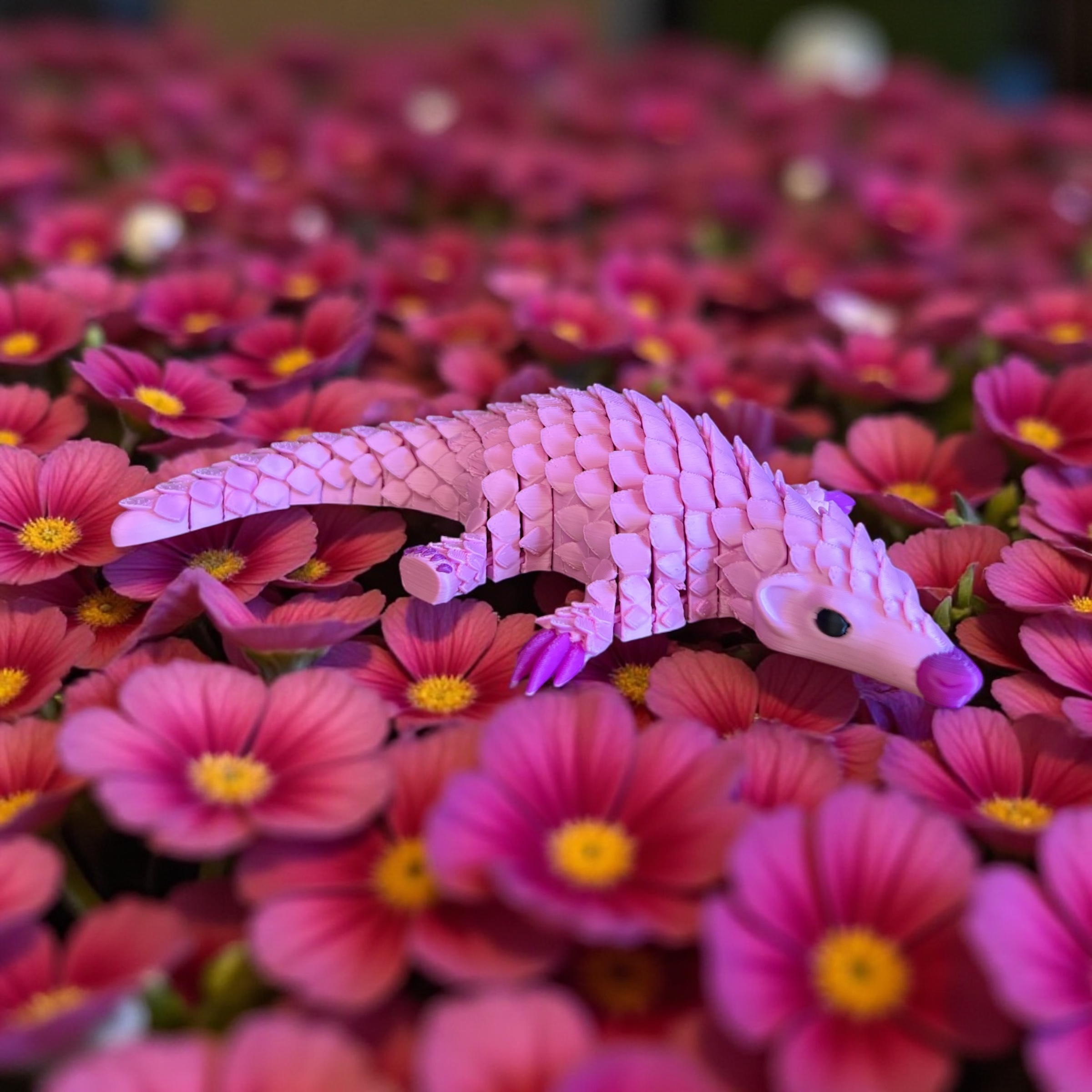 Photoroom_20251031_225011