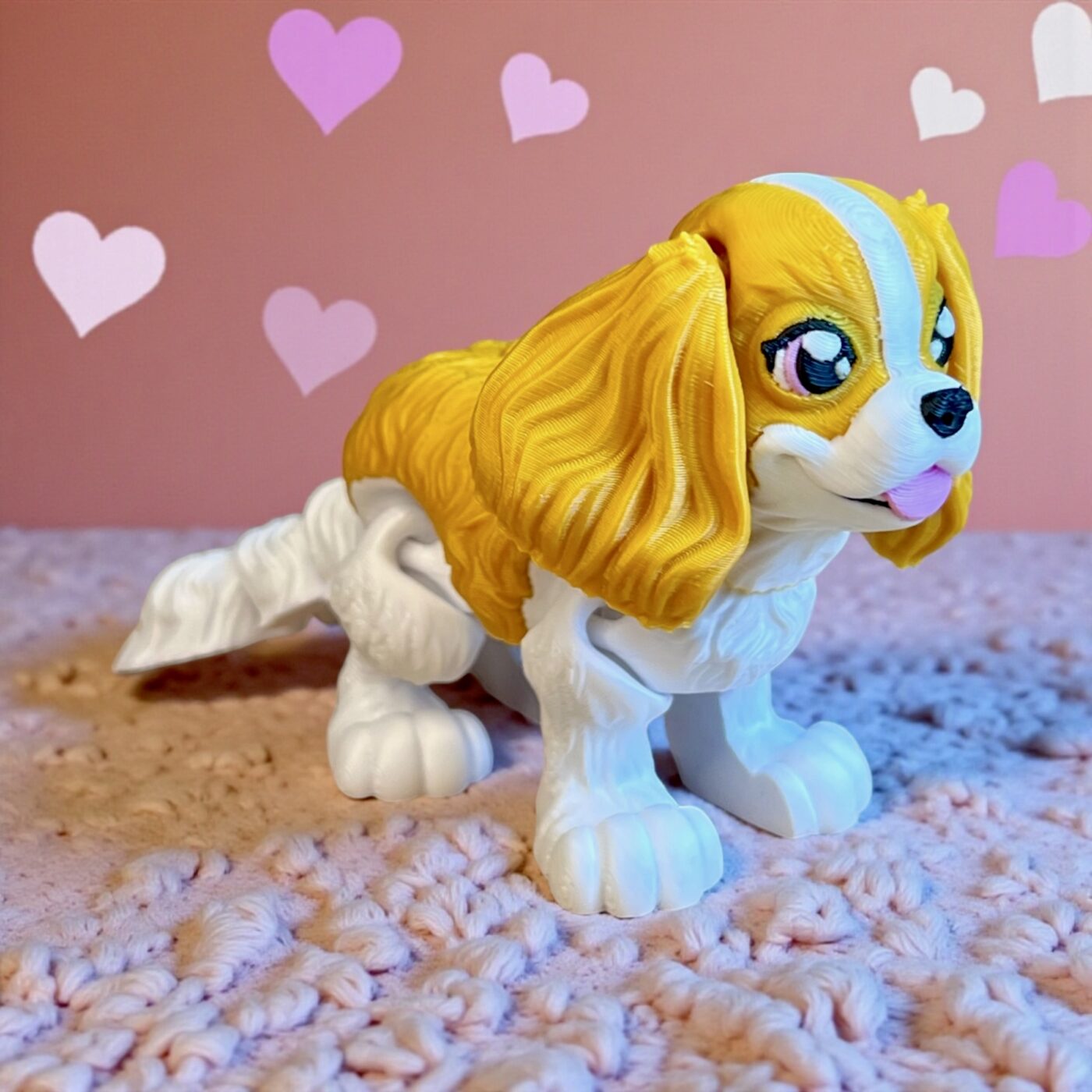 Cavalier King Charles spaniel Daisy