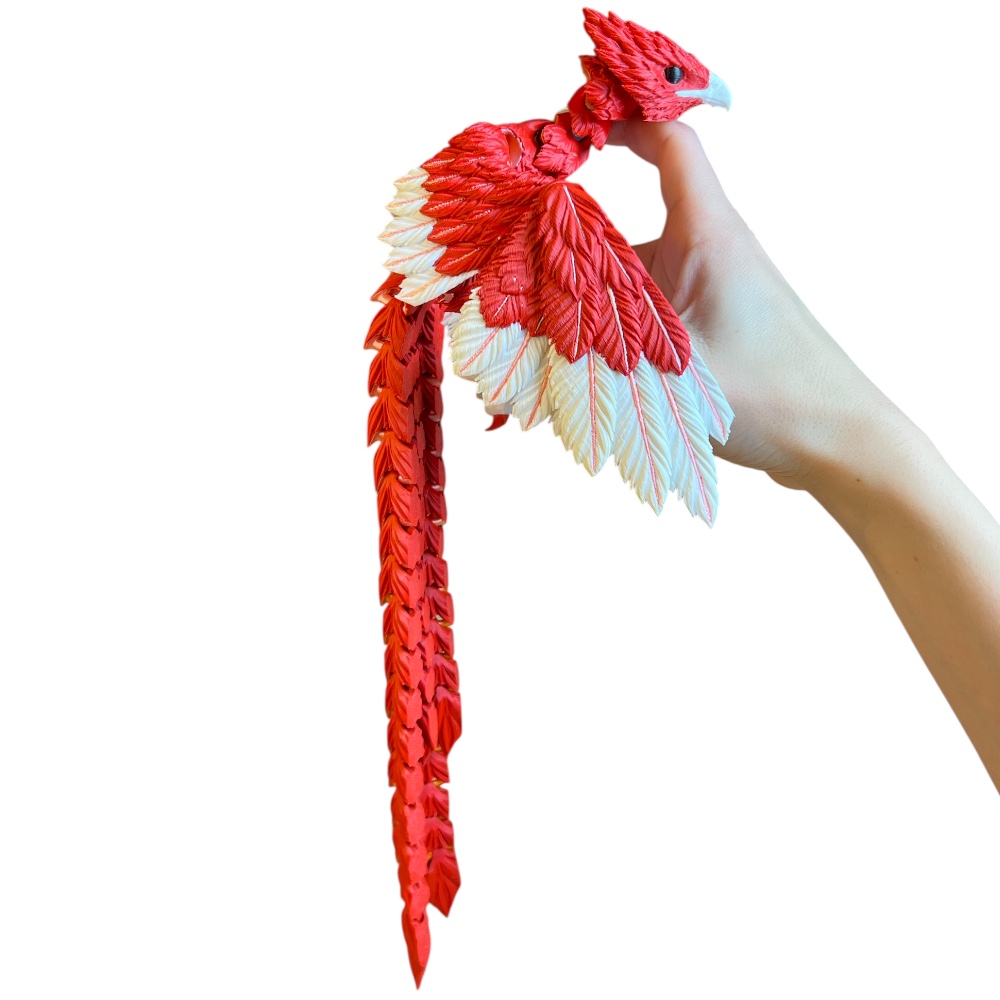 Photoroom_20251230_233758