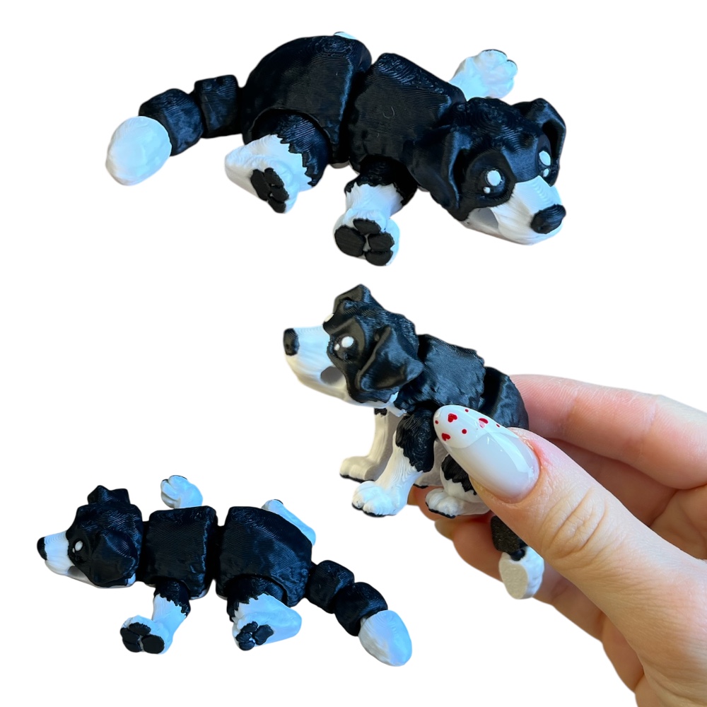 Photoroom_20260216_145103