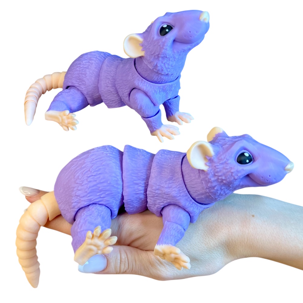 Photoroom_20251230_003522