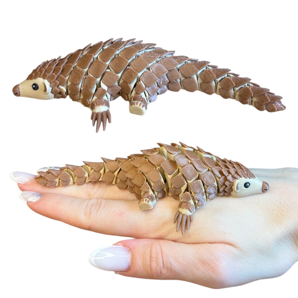 Photoroom_20260104_232820