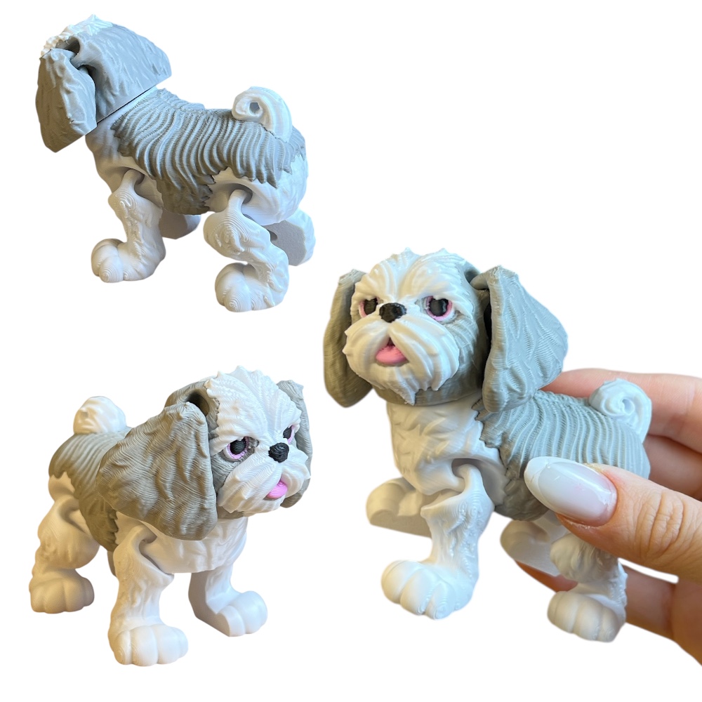 Photoroom_20260107_234707