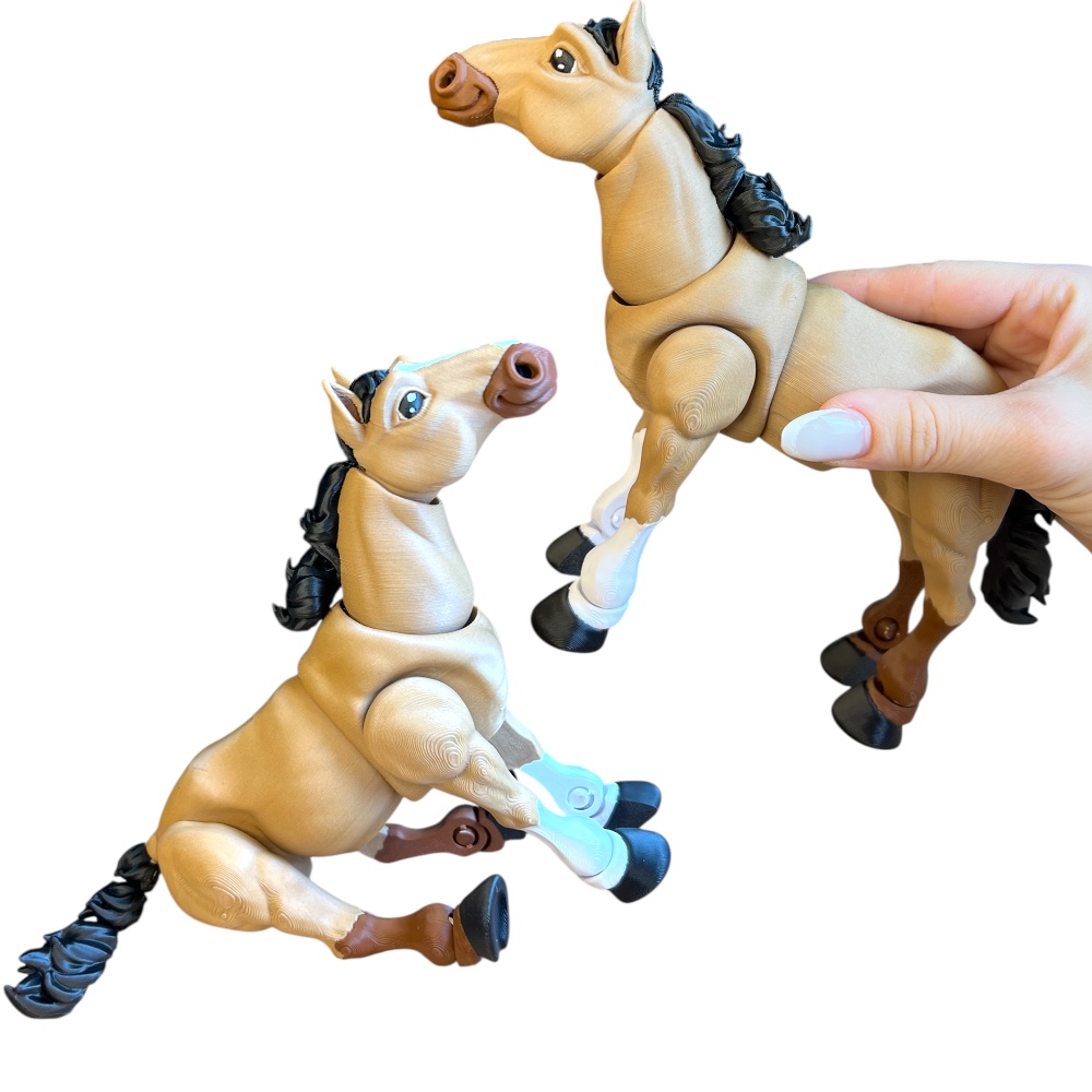 Photoroom_20260112_165738