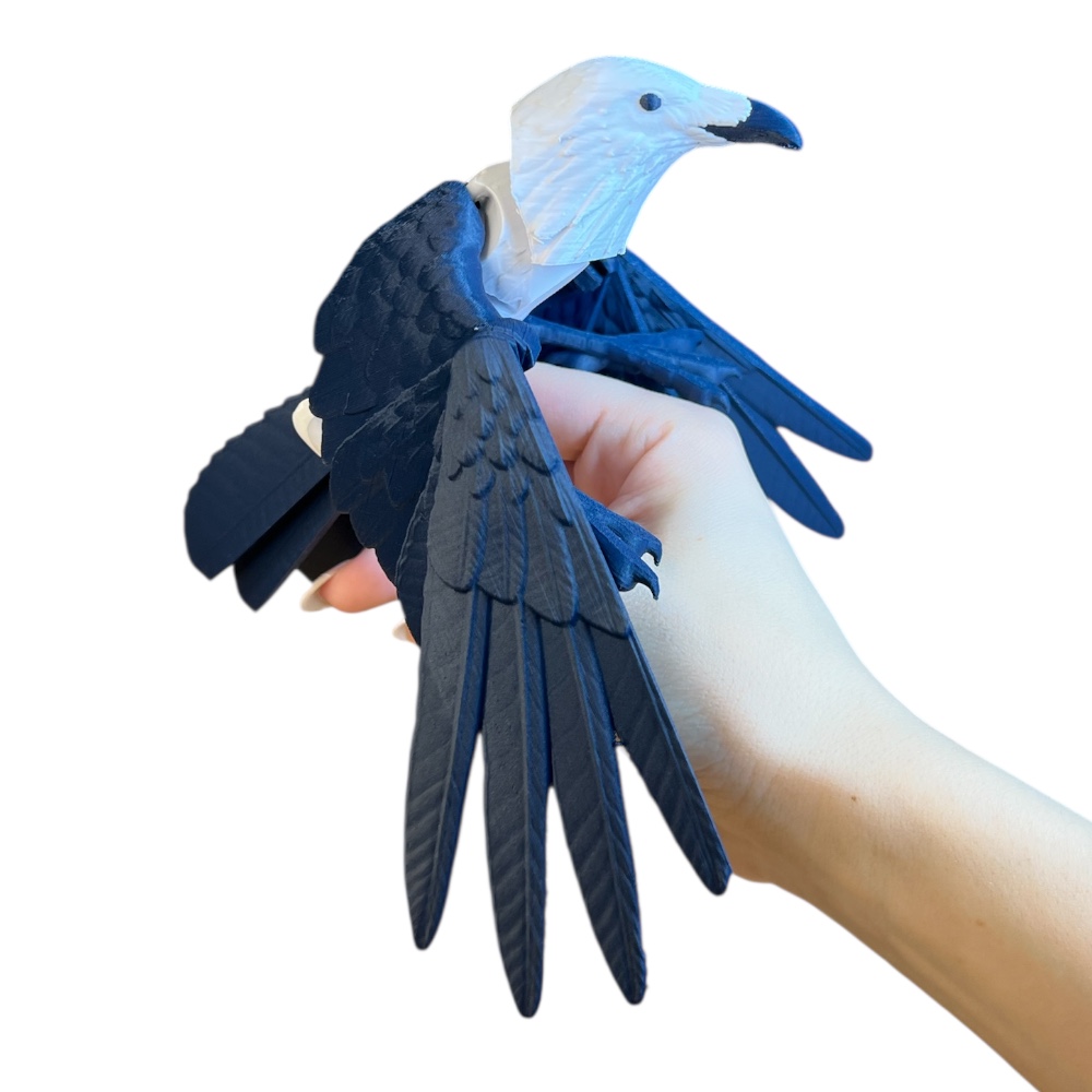 Photoroom_20260112_174844