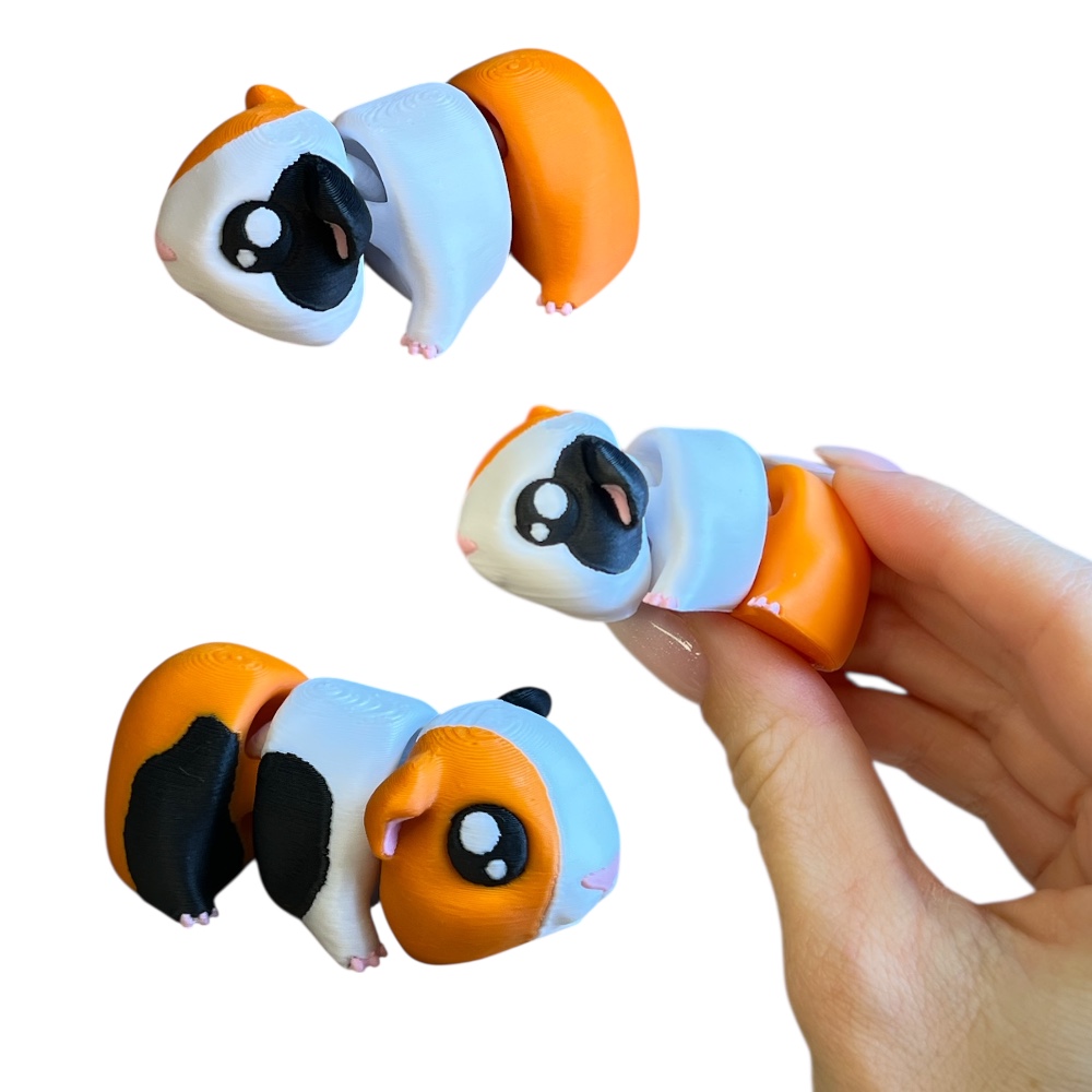 Photoroom_20260116_121029