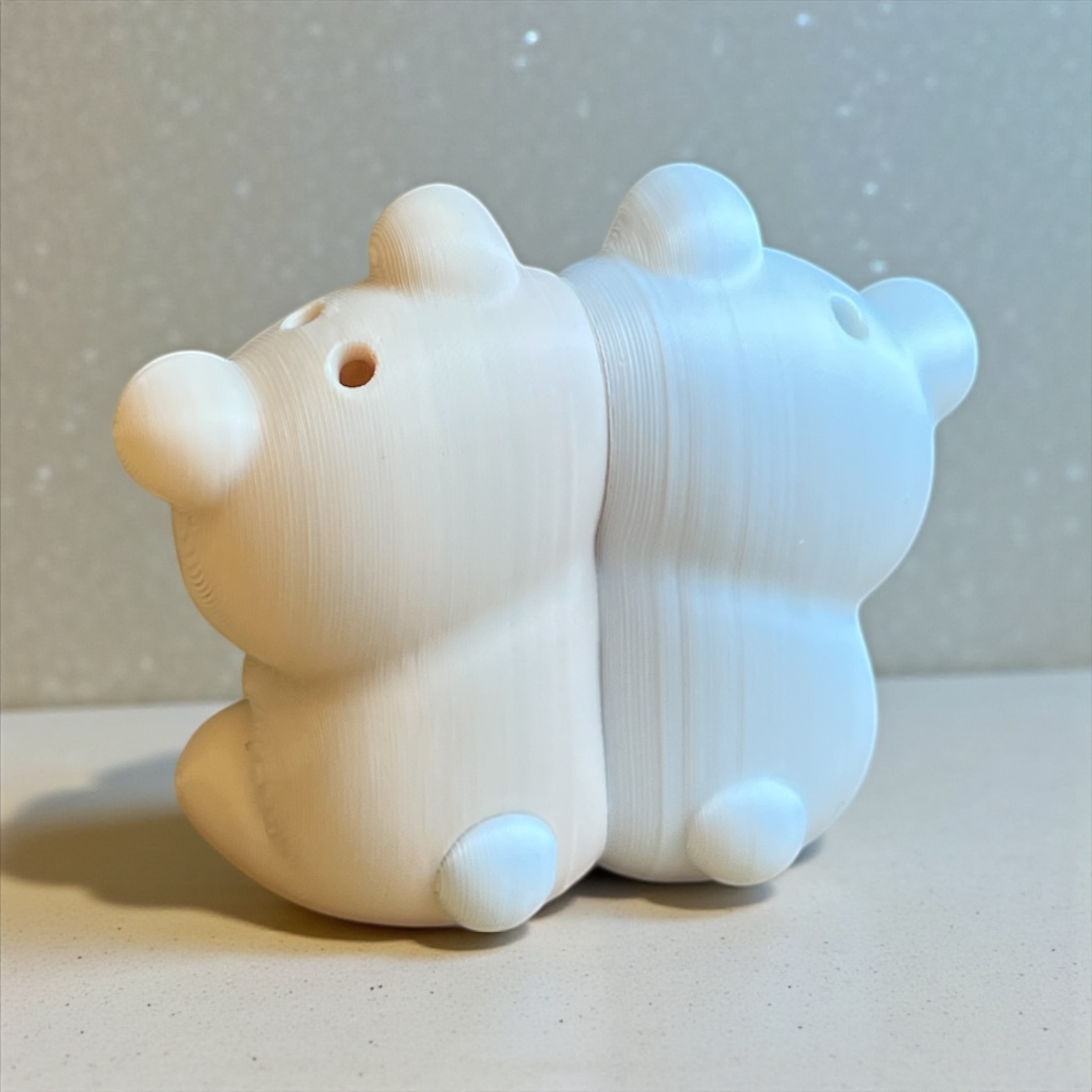 Photoroom_20260119_124347