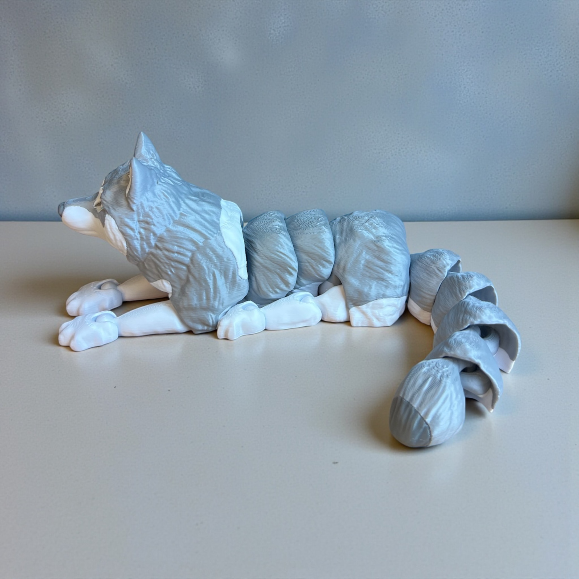 Photoroom_20260119_125351