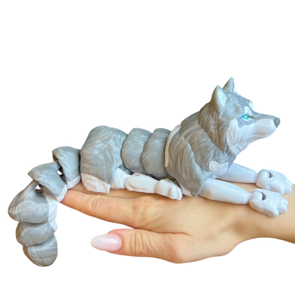 Photoroom_20260119_125418