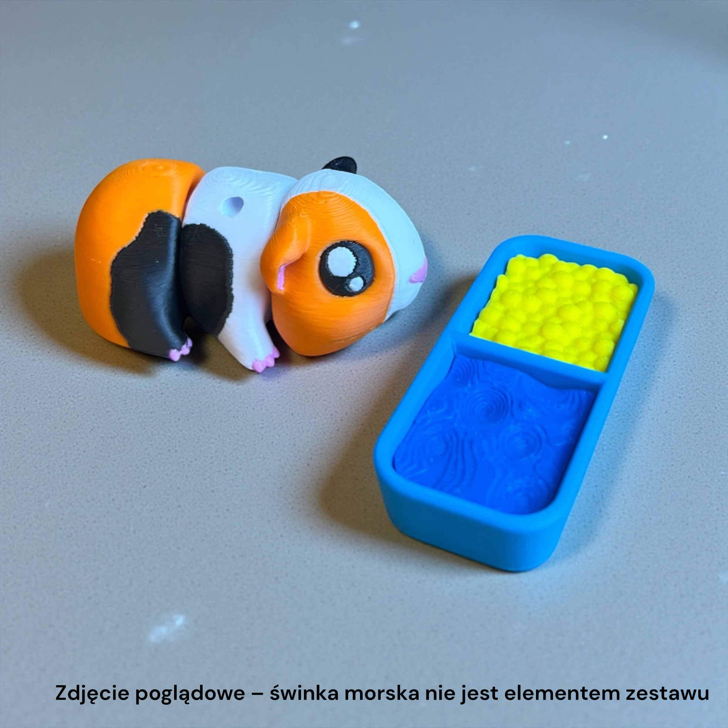 Photoroom_20260119_125647