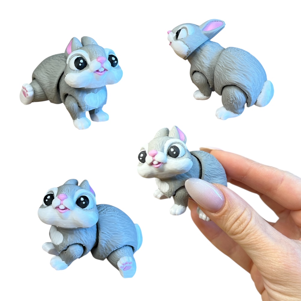 Photoroom_20260120_194646