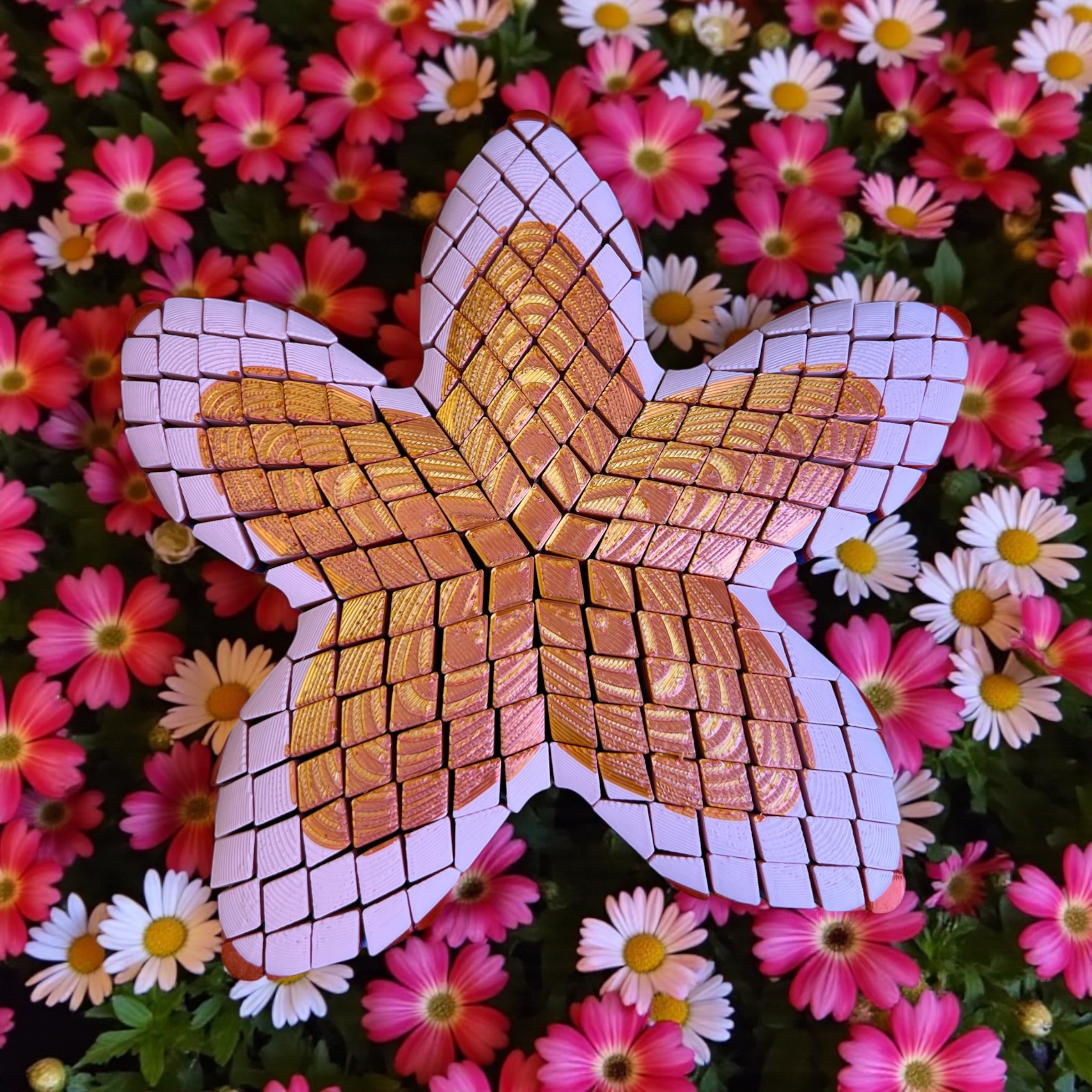 Photoroom_20260126_131759