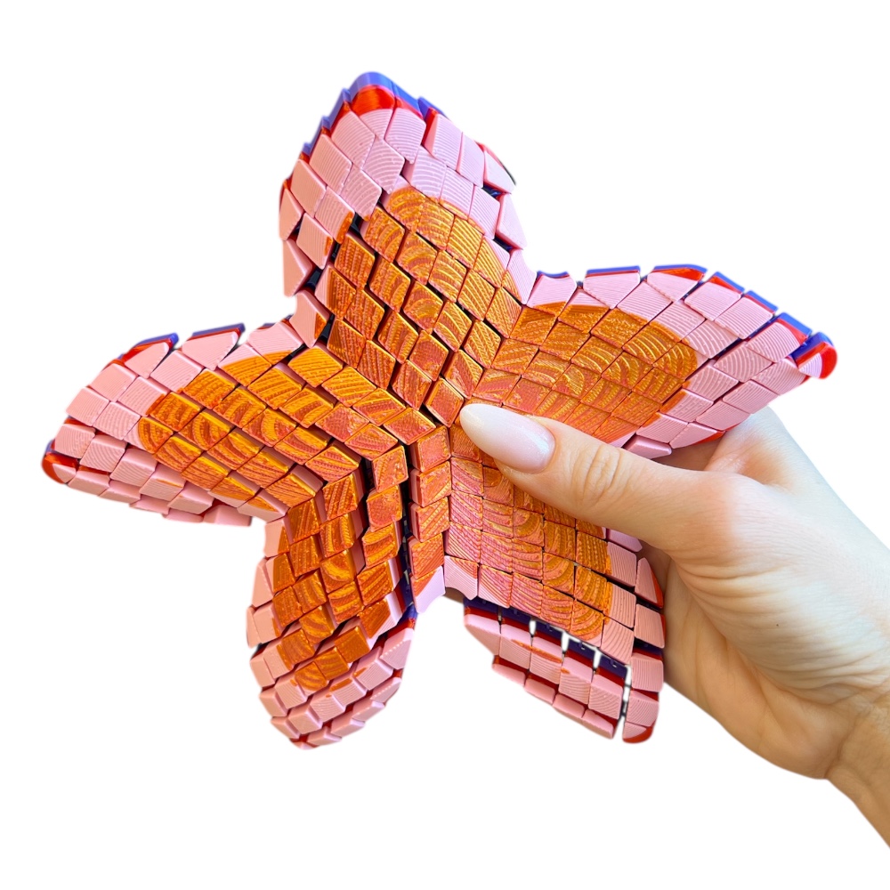 Photoroom_20260126_131825