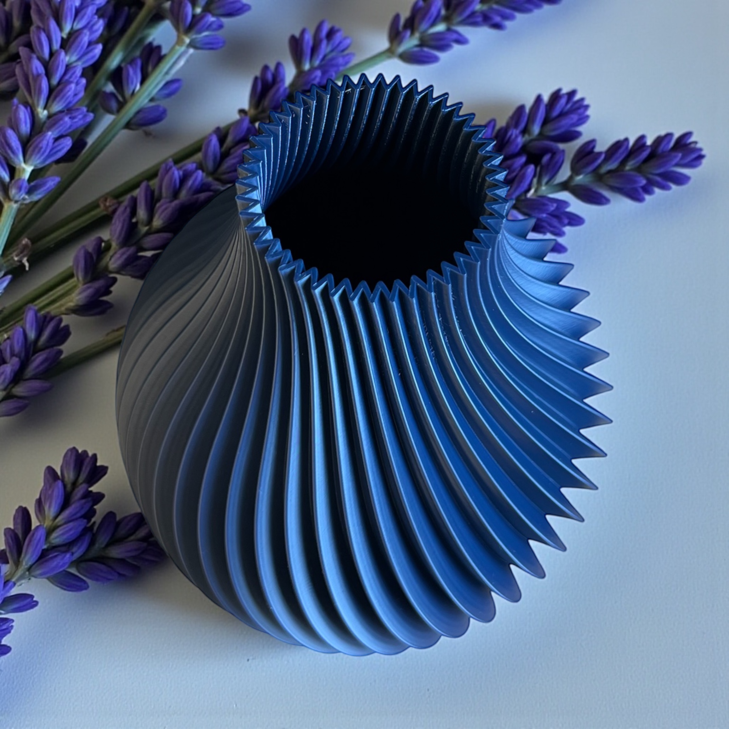 Photoroom_20260209_170126