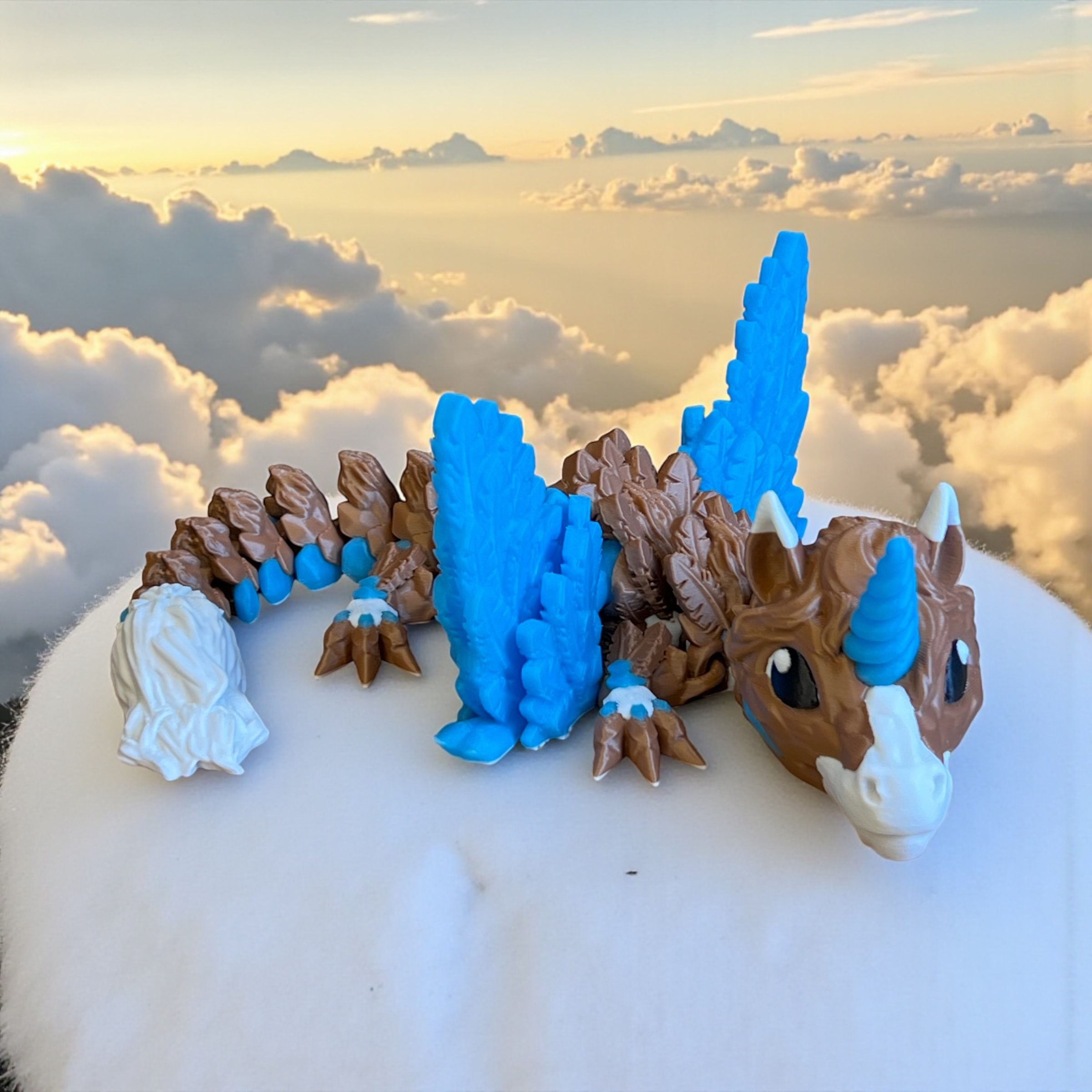 Photoroom_20260224_203435