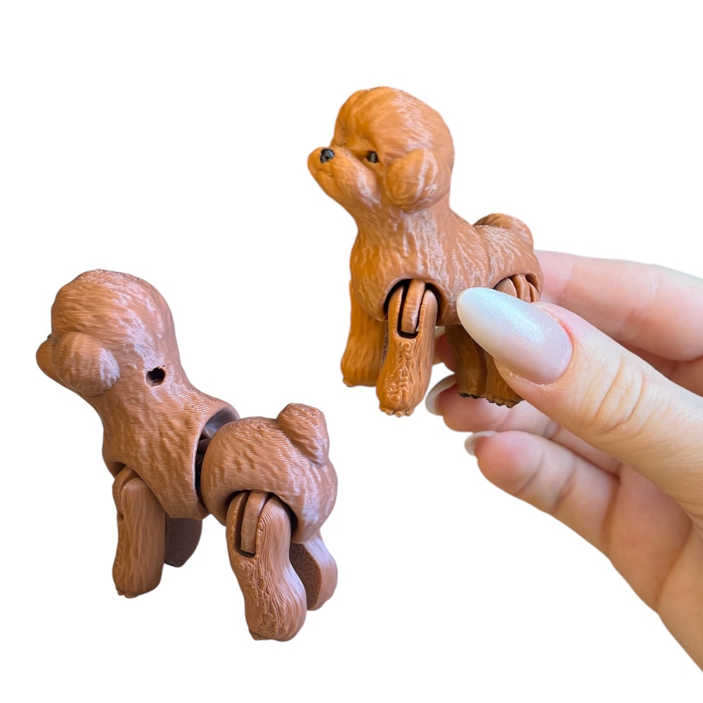 Photoroom_20260309_233030