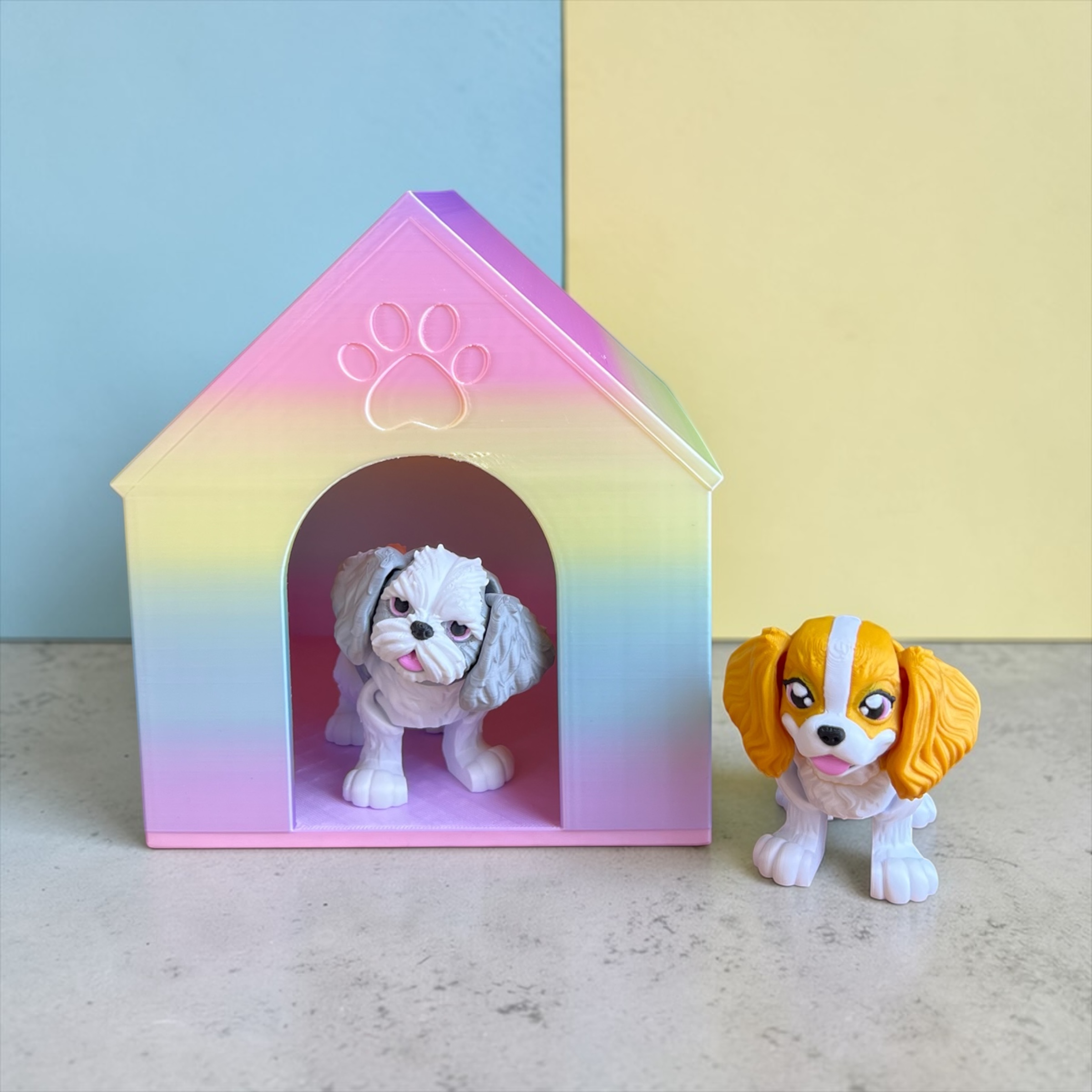 Photoroom_20260313_131812